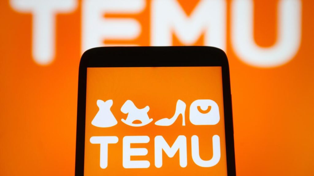Temu: La Piattaforma di E-Commerce Che Sta Rivoluzionando il Mercato - 1